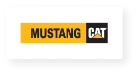 Mustang Cat
